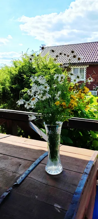 Семейный апартамент в усадьбе Деревенский рай