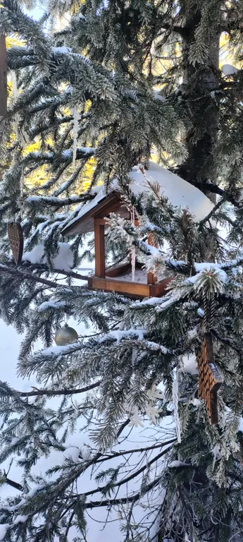 Шикарный дом из бревна