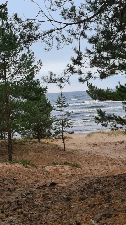 Коттедж Гостевой дом с сауной и купелью, вблизи реки и Ладоги — Видлица