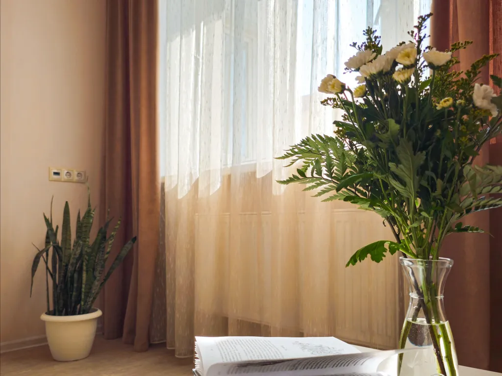 Евродвушка в центре