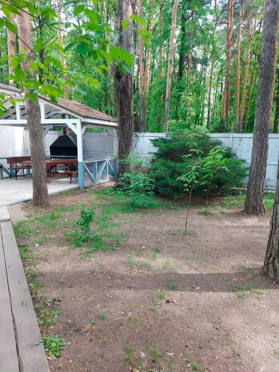 Загородный дом для праздника