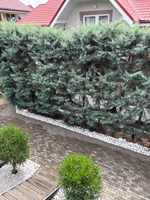 Квартира Делюкс комната с удобствами в лучшем районе Сириуса — Сириус