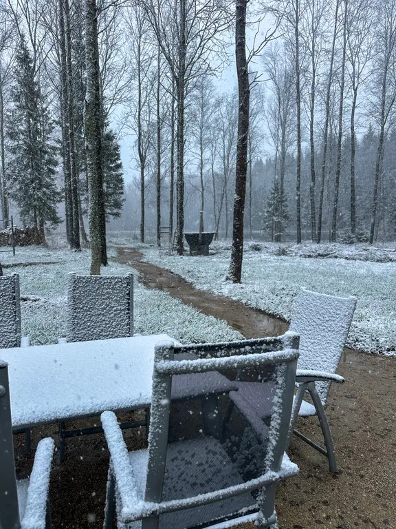 Уютный дом нa бeрегу лесногo озeра 2