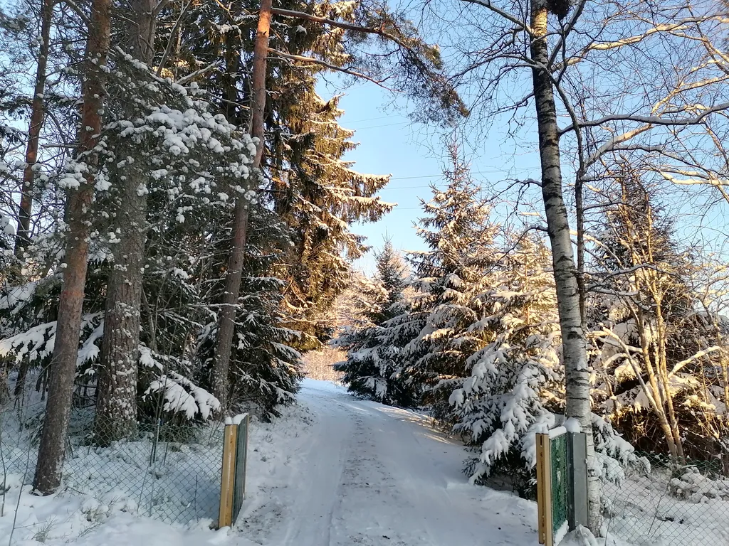 Гостевой дом у леса