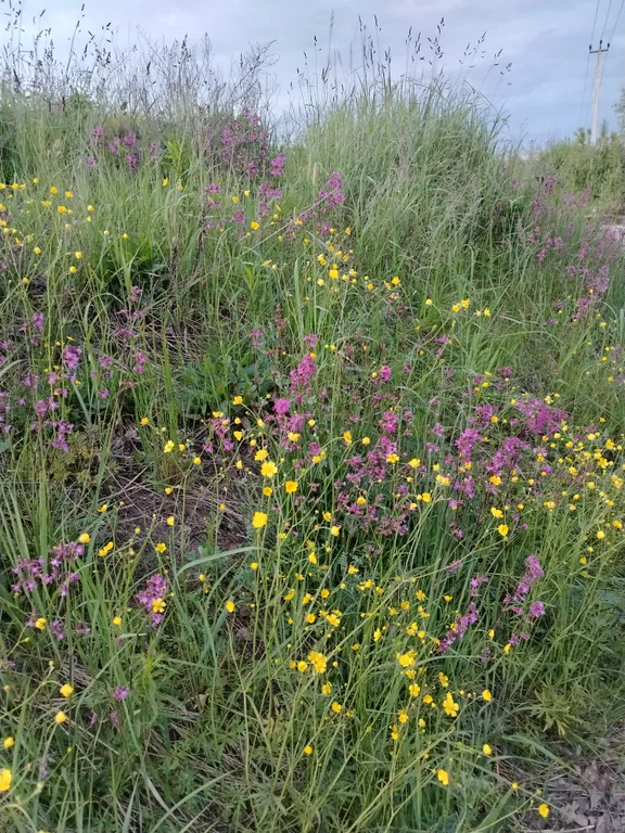 Уединенная часть дома с садом и барбекю