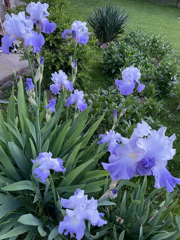 Дом среди гор