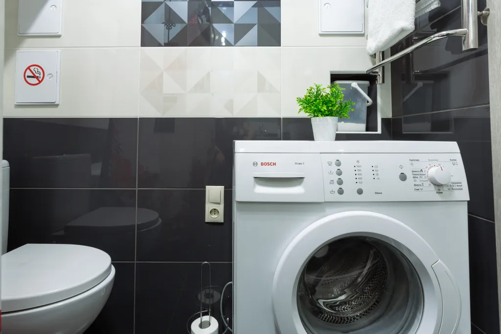 Тень сакуры