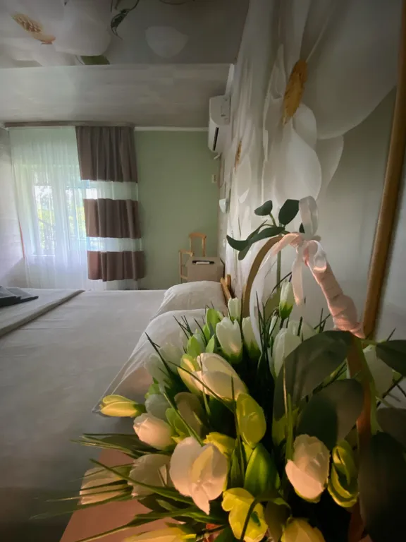 Четырехместный двухкомнатный номер с балконом с видом на горы