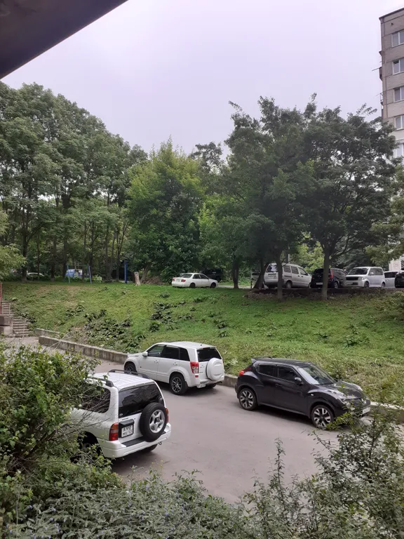 Квартира Большая 2-х квартира с XXXL-ТВ в отличном р-е с развит инфраструктурой — Владивосток