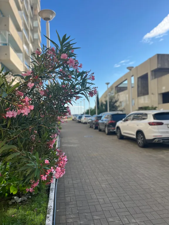 Квартира Уютная квартира с большой террасой — Лазаревское