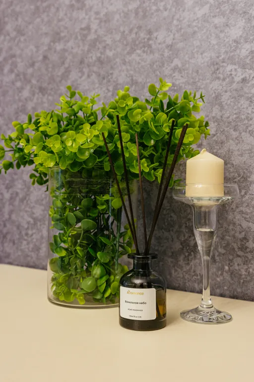 Пентхаус с террасой для лучших гостей города