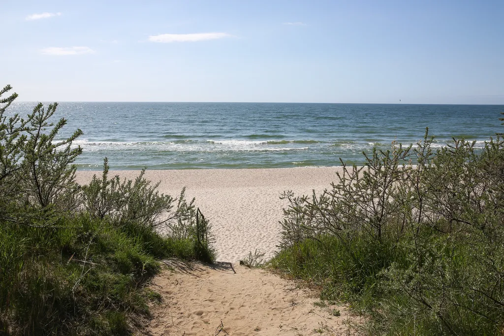 Янтарная Звезда 2