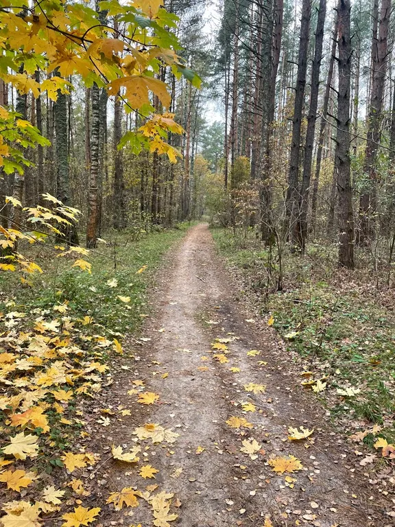Дом с бильярдно-банным комплексом и банным чаном на дровах