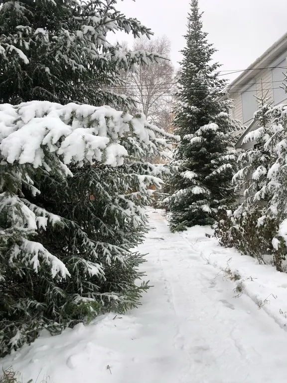 Семейное бунгало на Банном Гостевой