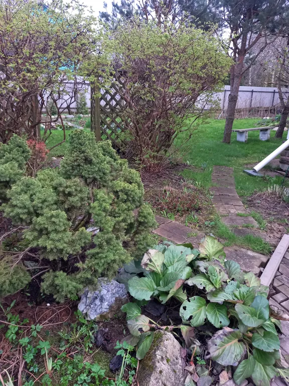 Коттедж Коттедж в получасе езды от Невского проспекта — Янино-1