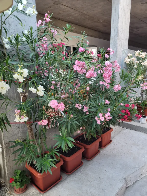 Четырёхместный эконом в центре