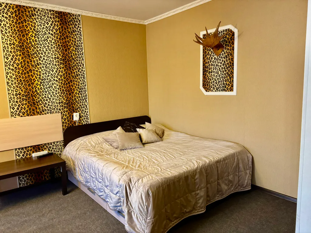 Апартаменты Драная кошка