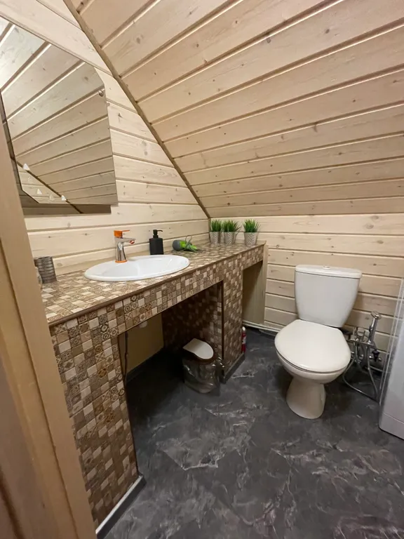 Карельская Дача Уютное шале с камином в сосновом бору, берег Сямозера