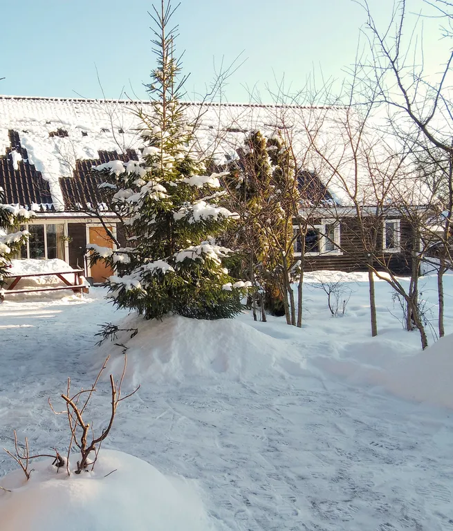 Коттедж Отличный отдых за городом — Сиверский