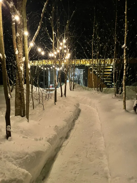 Современный дом в скандинавском стиле