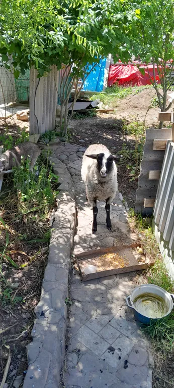 Дом на Охотничьем в центре посёлка