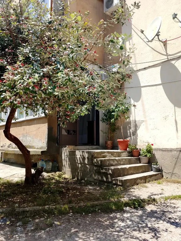 Квартира Комфортабельная квартира в центре курорта — Гагра