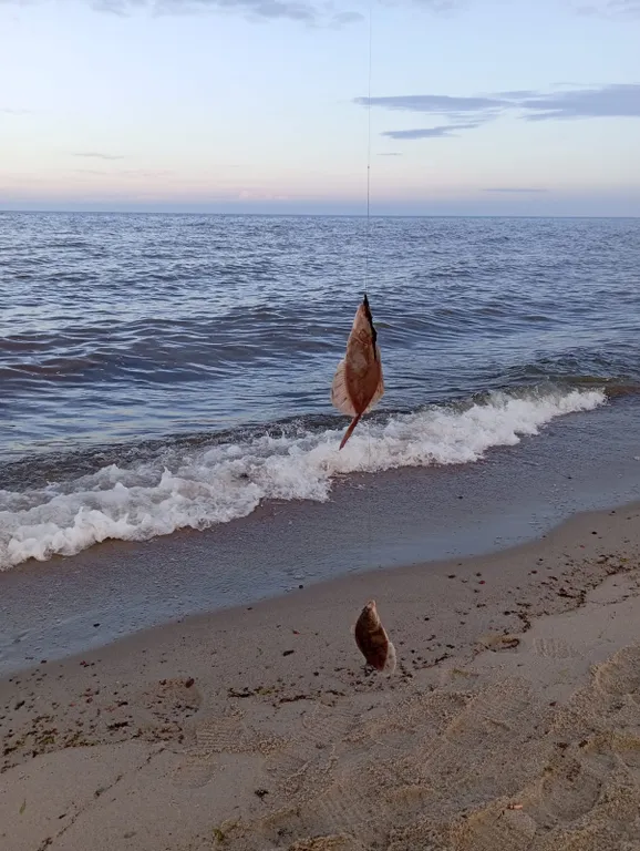 Уютная квартира с видом на море