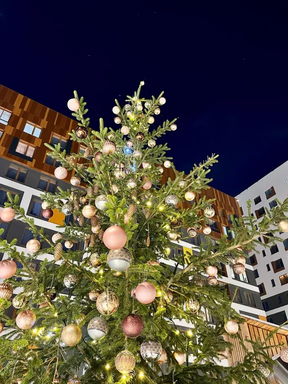 Квартира Уютная квартира в новом доме — Екатеринбург