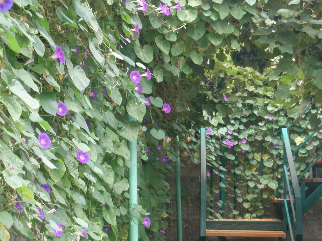 Номер на троих с балконом