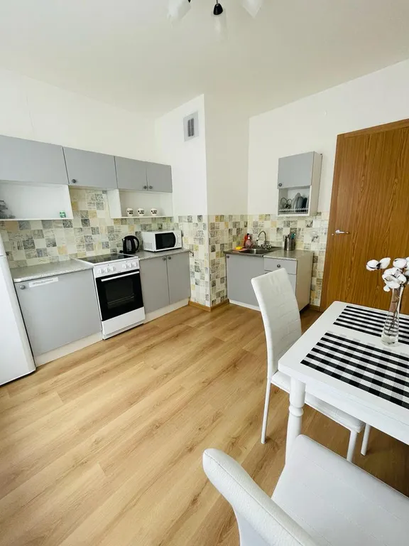 Квартира Апартаменты у НИИ Петрова — Песочный