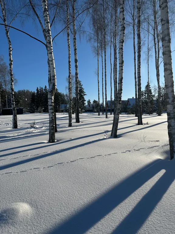 Коттедж в стиле шале в коприно