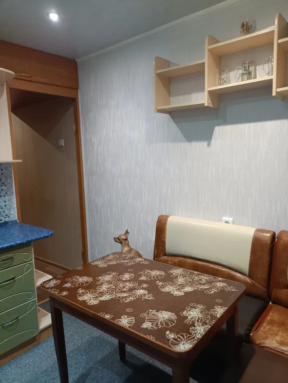 Квартира рядом с аэропортом