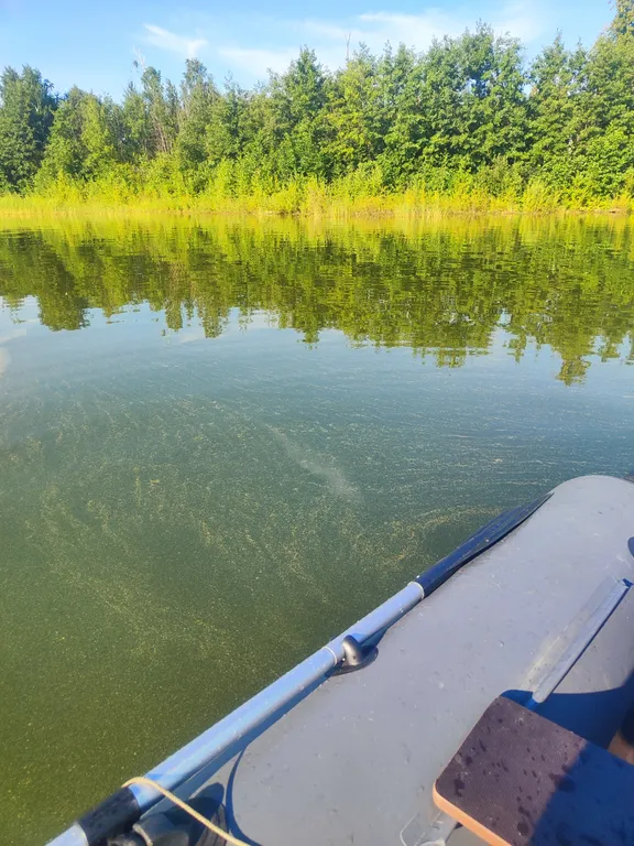 Красивые закаты. Уютная квартира рядом с озером Тургояк и ГЛЦ Райдер