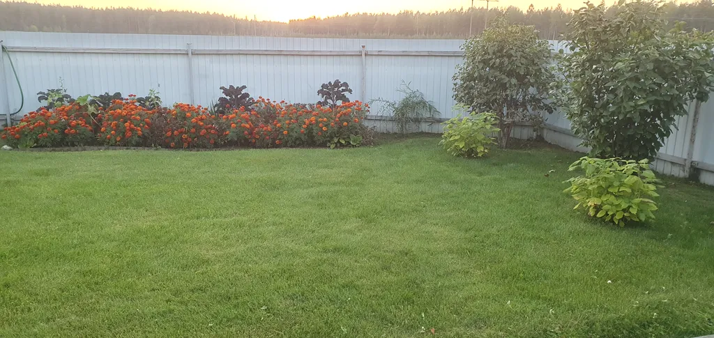 Домик в деревне