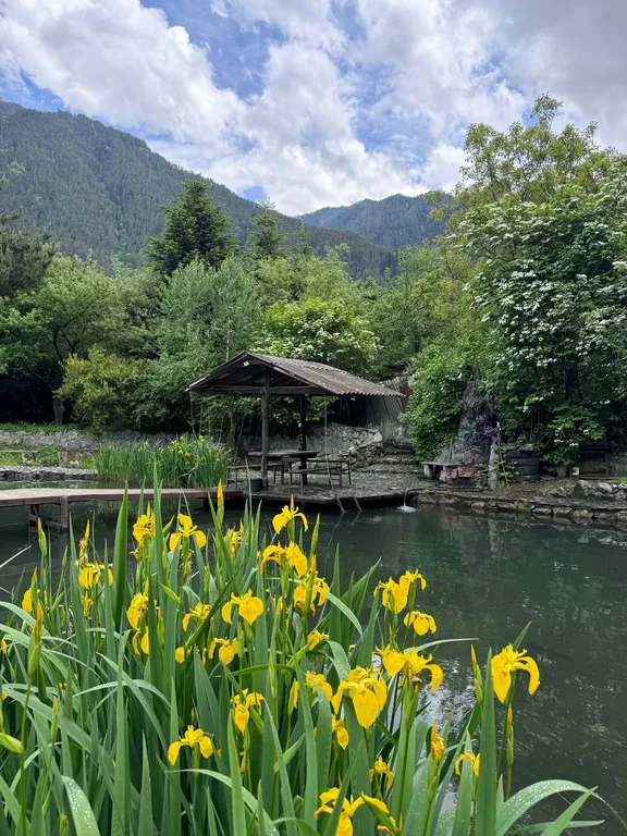 Коттедж Дом с баней и озером — Теберда