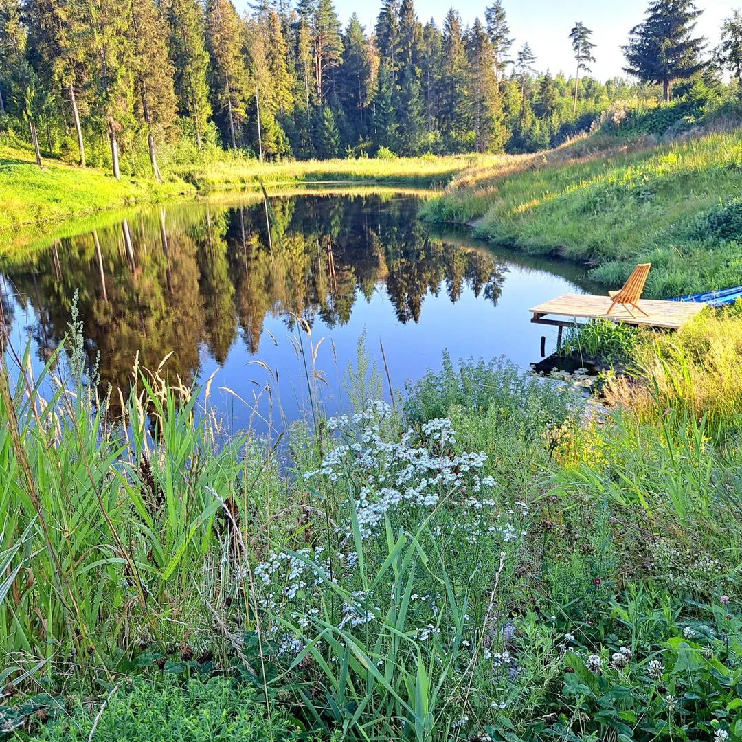мостик для отдыха и спуска в воду