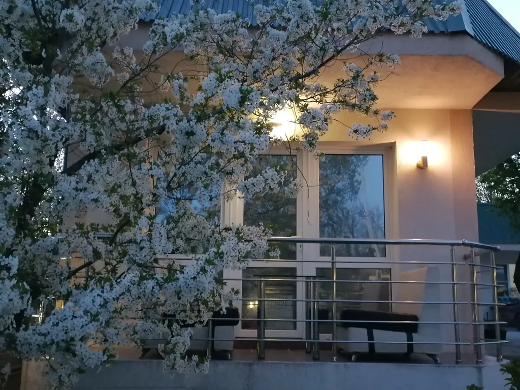 Дом под ключ Vce DLA Was