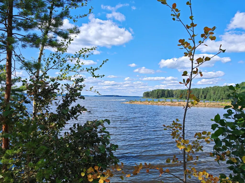 Коттедж Дом с тремя спальнями в турбазе чайка (селигер) — Турбаза Чайка