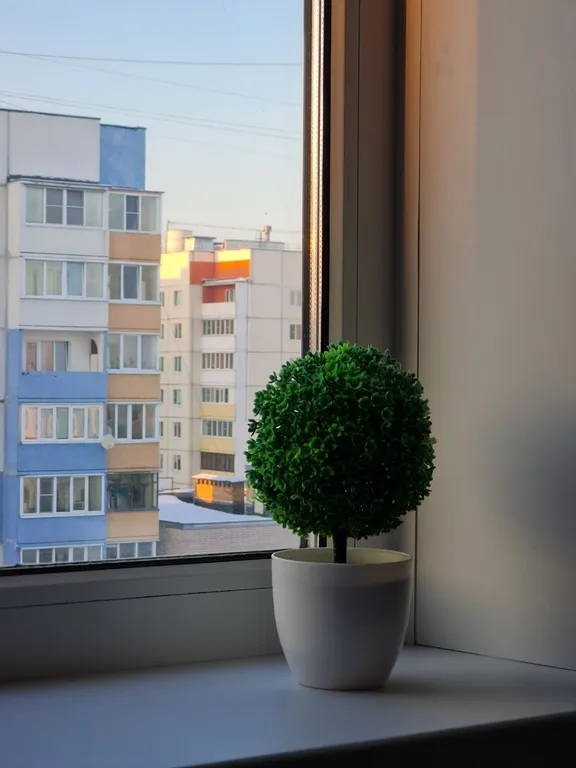 Уютная квартира