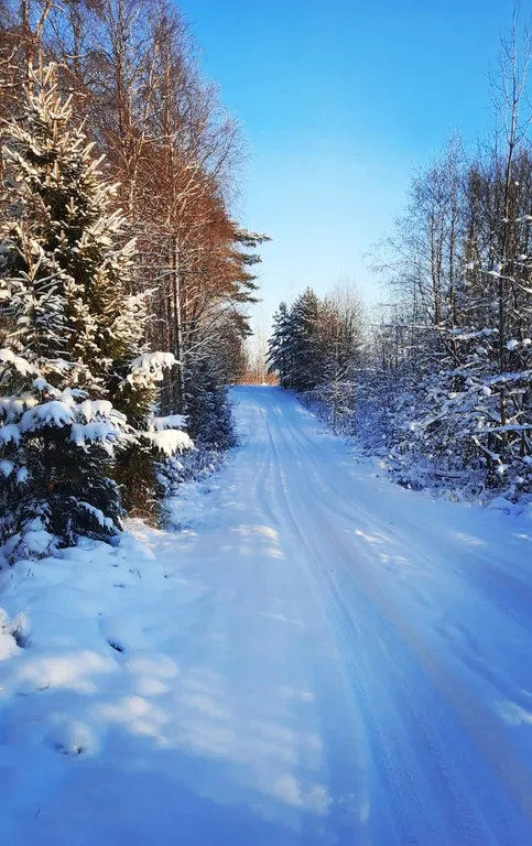 Дом Ярвиранта на берегу озера
