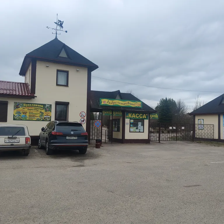 Барнхаус сова