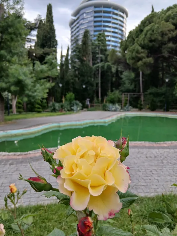 Уютный апартамент в ЖК Зазеркалье Ялта Приморский парк