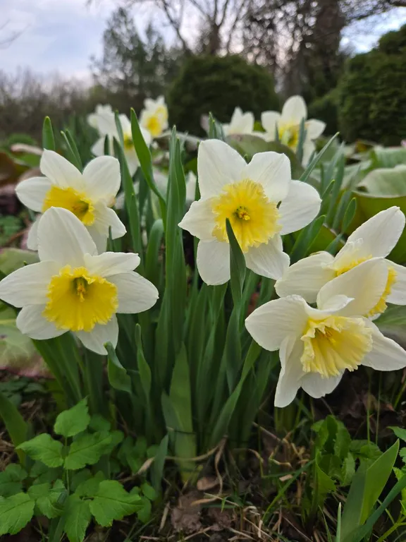 Коттедж Гостевой дом-баня — Гаврилов-Ям