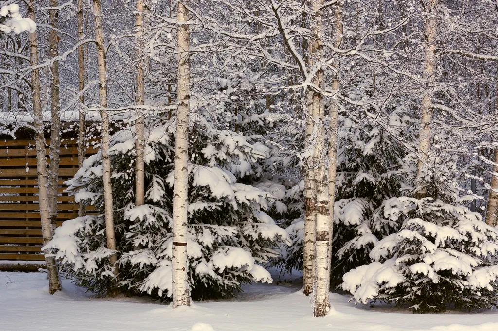 Коттедж Коттедж Уютный таунхаус с камином — Беличье