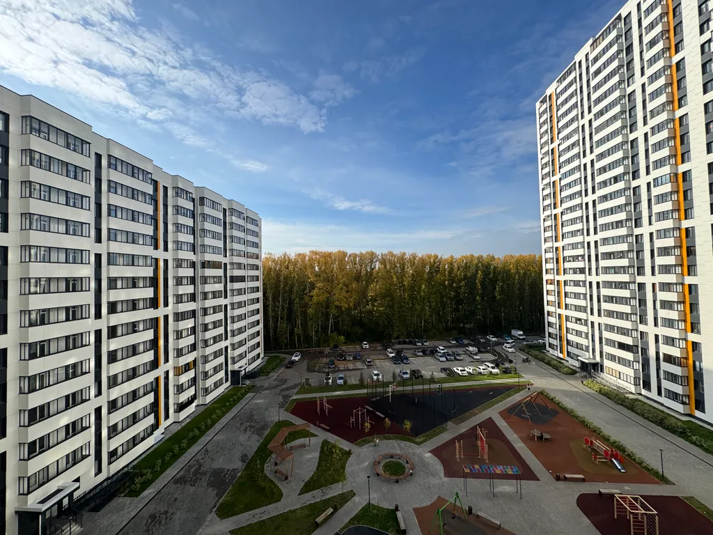 Стильная студия с видом на лес