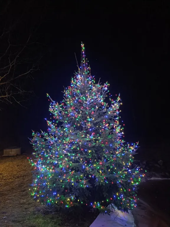 Дом с баней