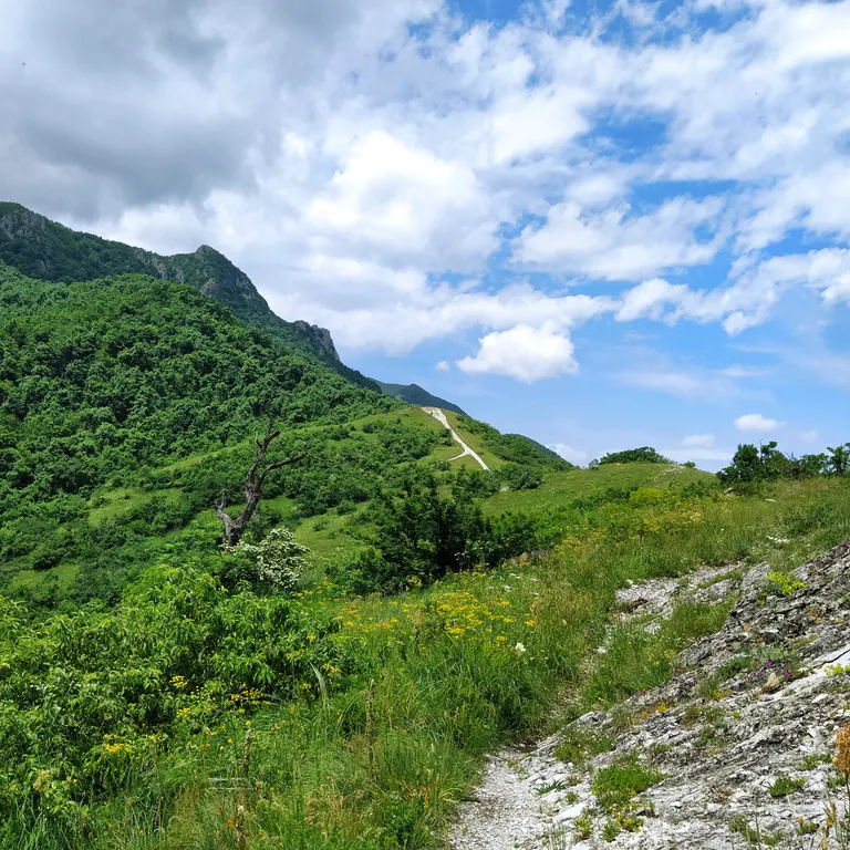 Дом под горами Бештау и Острая