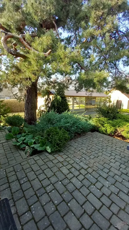 Апартаменты на Немане