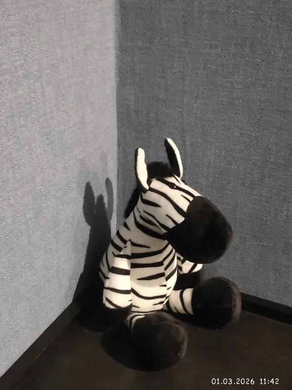 Современная квартира в самом центре города