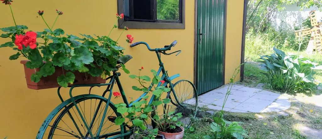 Коттедж Домик в яблоневом саду — Светлогорск